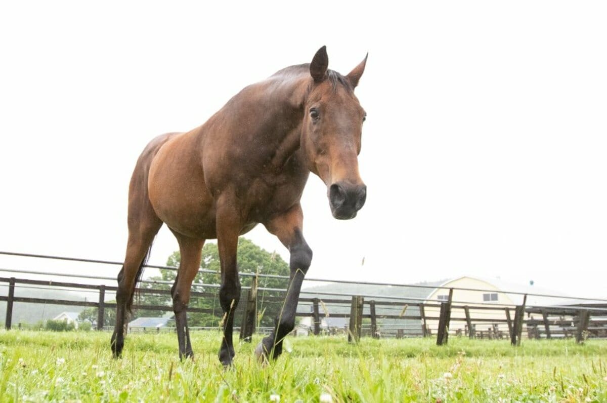 img_cd8477cbc8a147db636c15e5bd