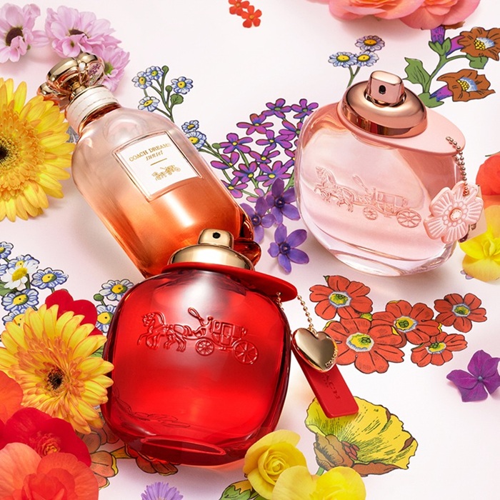 ドルチェ＆ガッバーナ ディヴォーション オードパルファム 50mL（香水