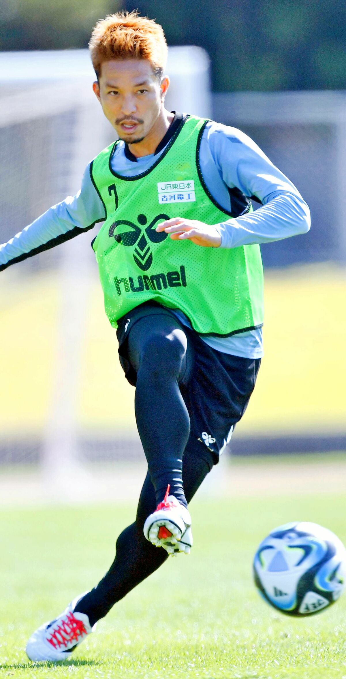 img_a303947d23fbfcff6d3835cec7