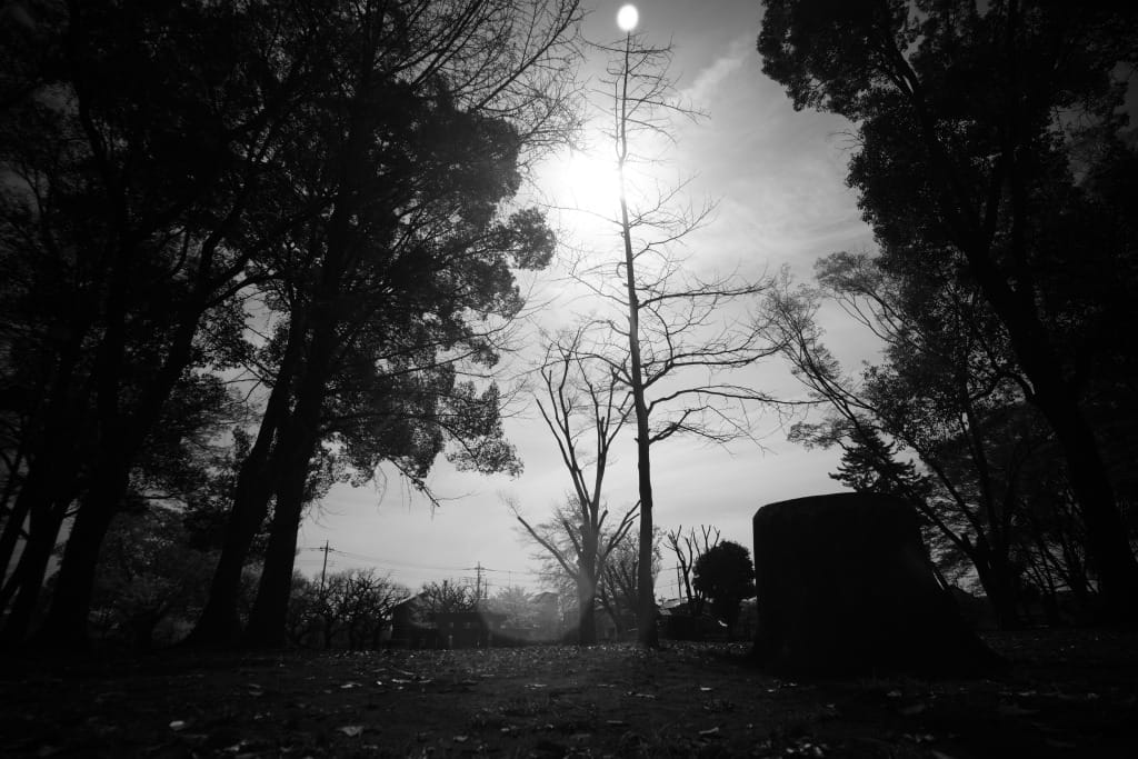 Russar MR-2 20mm f5.6(PYCCAP MP-2)Review作例 ライカL超広角銘玉神