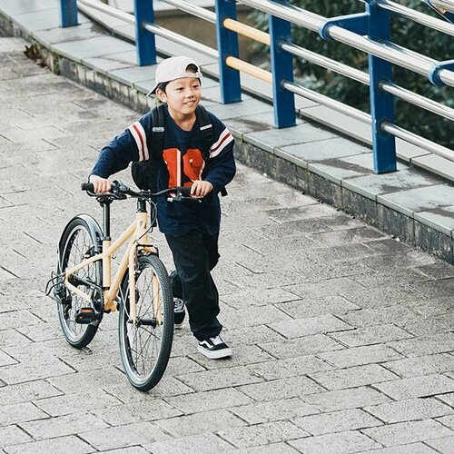 RITEWAY ( ライトウェイ ) キッズバイク ZIT 22 ( ジット 22 ) マット