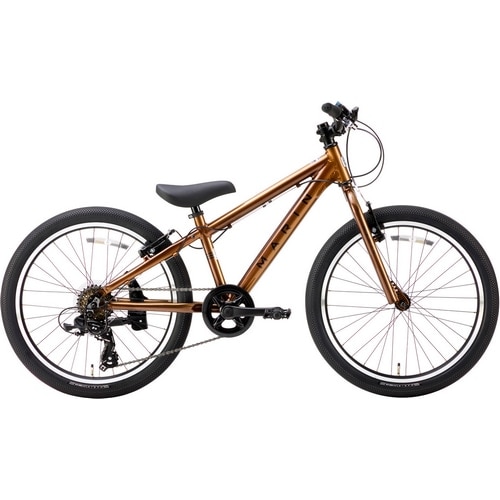 MARIN ( マリン ) キッズバイク DONKY JR 22 6S ( ドンキージュニア 22