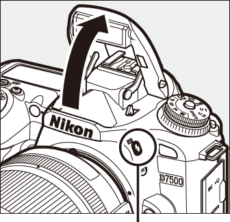 内蔵フラッシュを使って撮影する