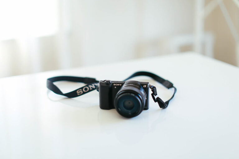 Sony α5100（ミラーレスカメラ）＋単焦点レンズE 35mm F1.8を買いまし