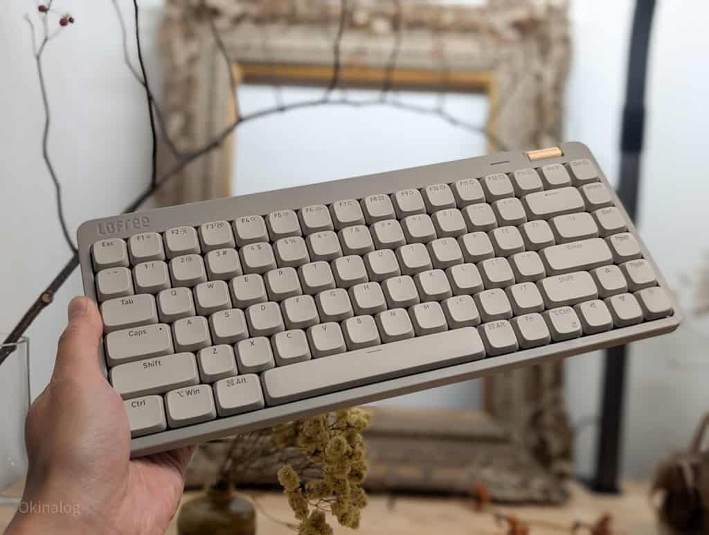 PXL_20241123_115856959.