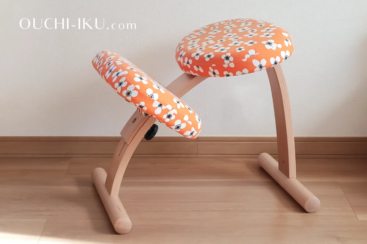 sakamoto house balans EASY バランスイージー チェア Amazon.co.jp