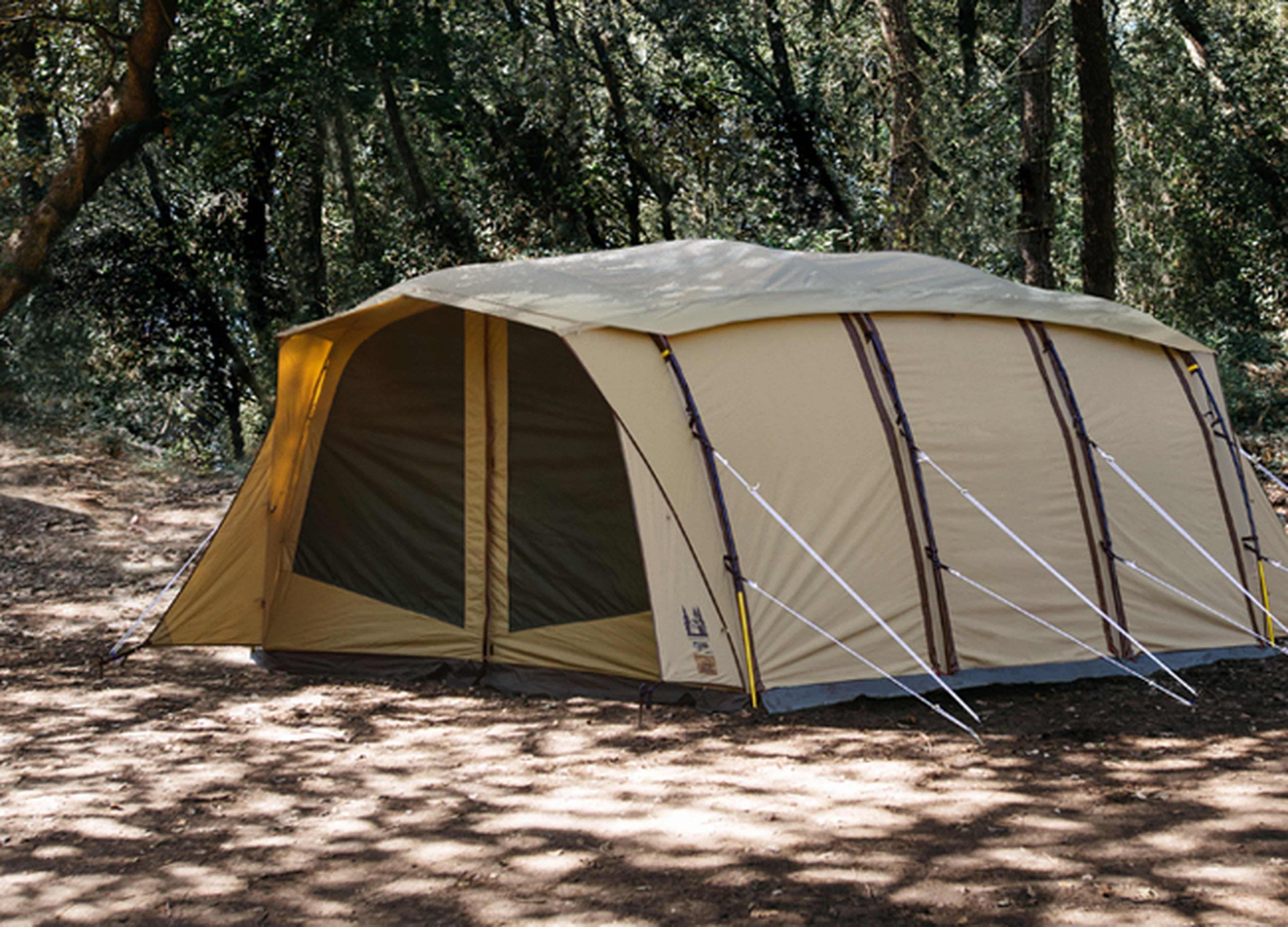 新作】ogawa不朽の名作が進化。「アポロンTC」がOrange別注モデルで