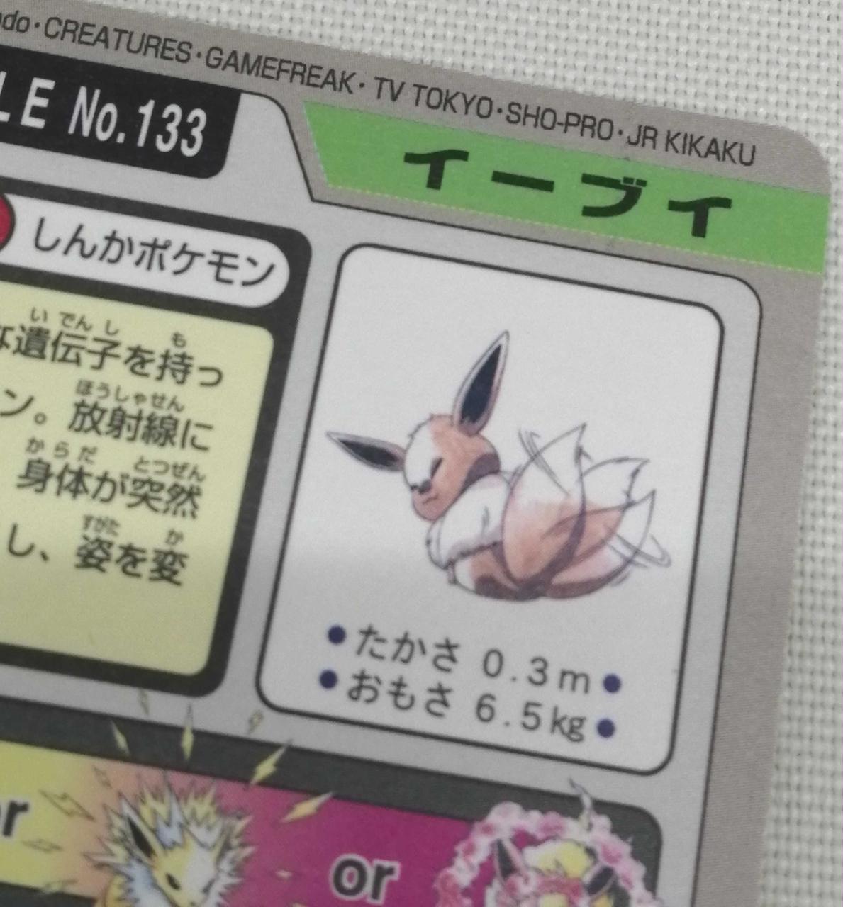 ポケモン イーブイ カードダス 1997年 美品 最安 セット割可 しっぽを