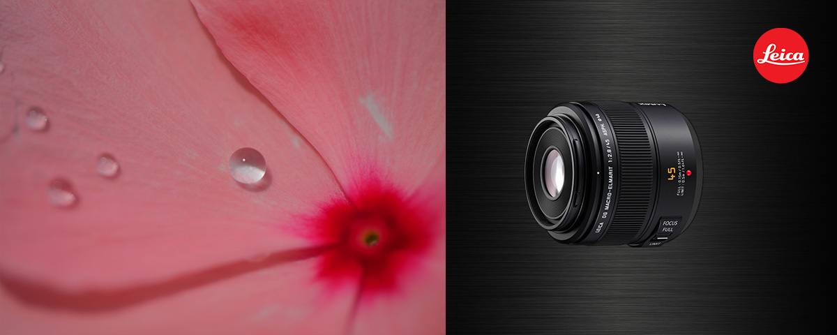 概要 デジタル一眼カメラ用交換レンズ H-ES045 | LUMIX（ルミックス