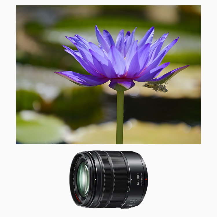 概要 デジタル一眼カメラ用交換レンズ H-FSA14140 | LUMIX（ルミックス