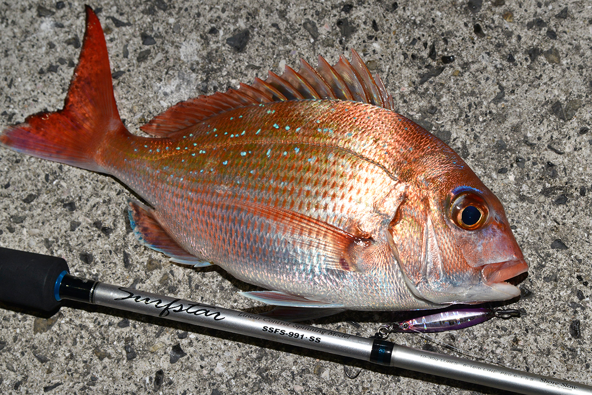 スローブラットキャストUP!／2018.7.13 - BLOG | Angler's Republic