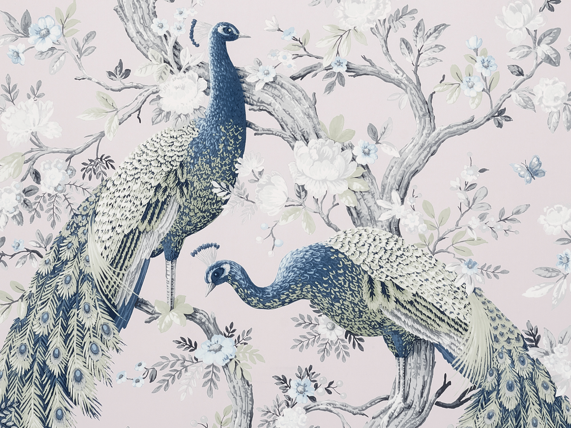 3713964-Belvedere Midnight｜PASSAGE de SINCOL