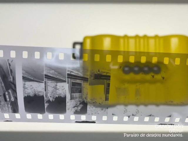 Lomography Supersampler｜4つ目カメラの撮影結果に驚き、そして心