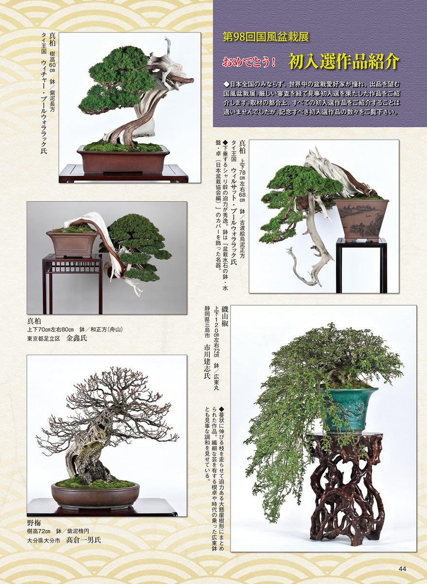 近代盆栽 2024年4月号 速報！ 第98回国風盆栽展 国風賞受賞樹一挙紹介