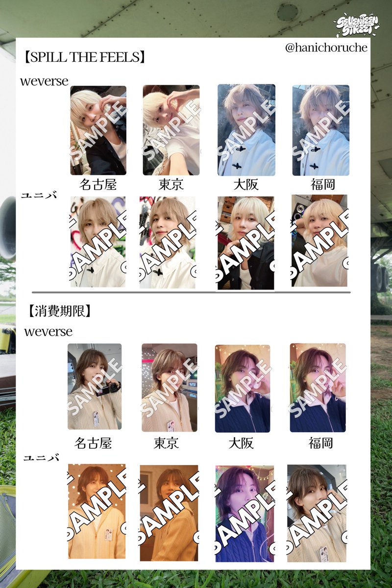 spill the feels ユニバ 東京 会場 トレカ 13種 コンプリート