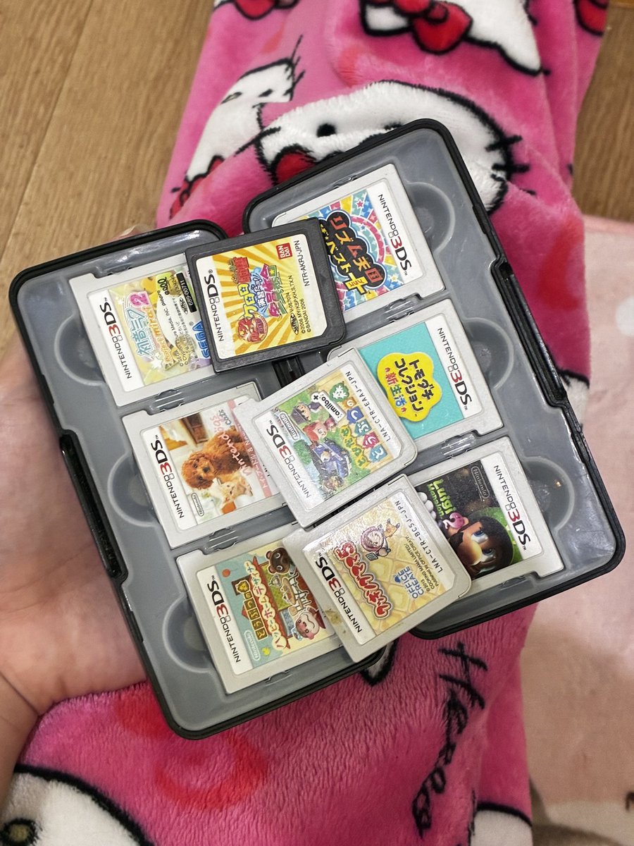 もう見つからないと思ってた、無くしてた3DSのカセットケース出てきて