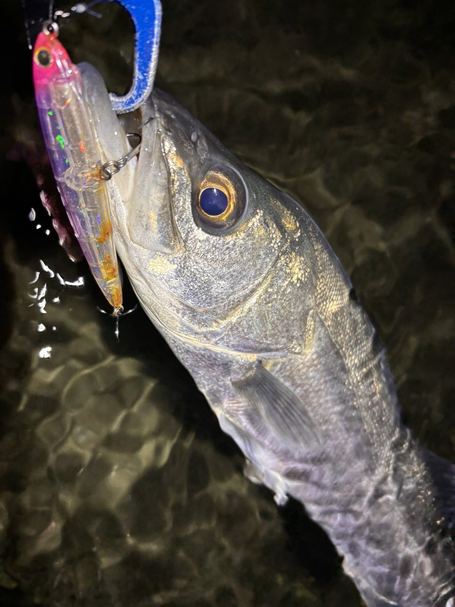 LONGIN (@longin2011) / Posts / X