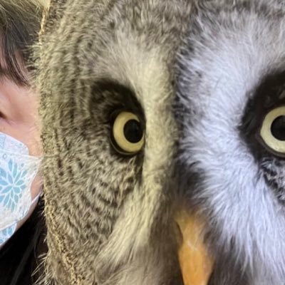 フクロウJOE＋」店主です🌝 (@xn99880) / Posts / X