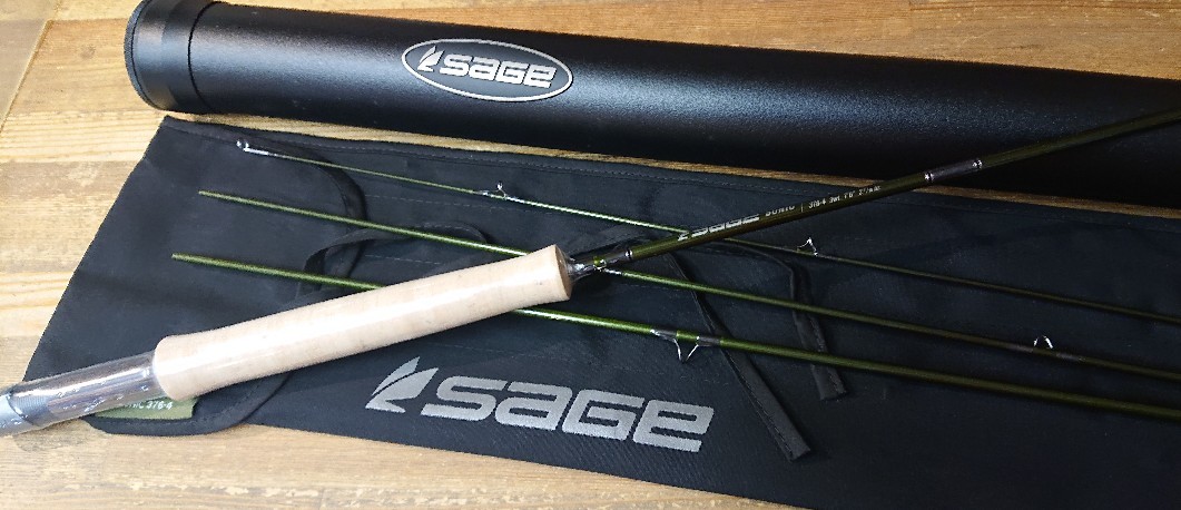 SAGE(セージ)新製品、SONIC 376-4が入荷しました。 : アンパラなブログ