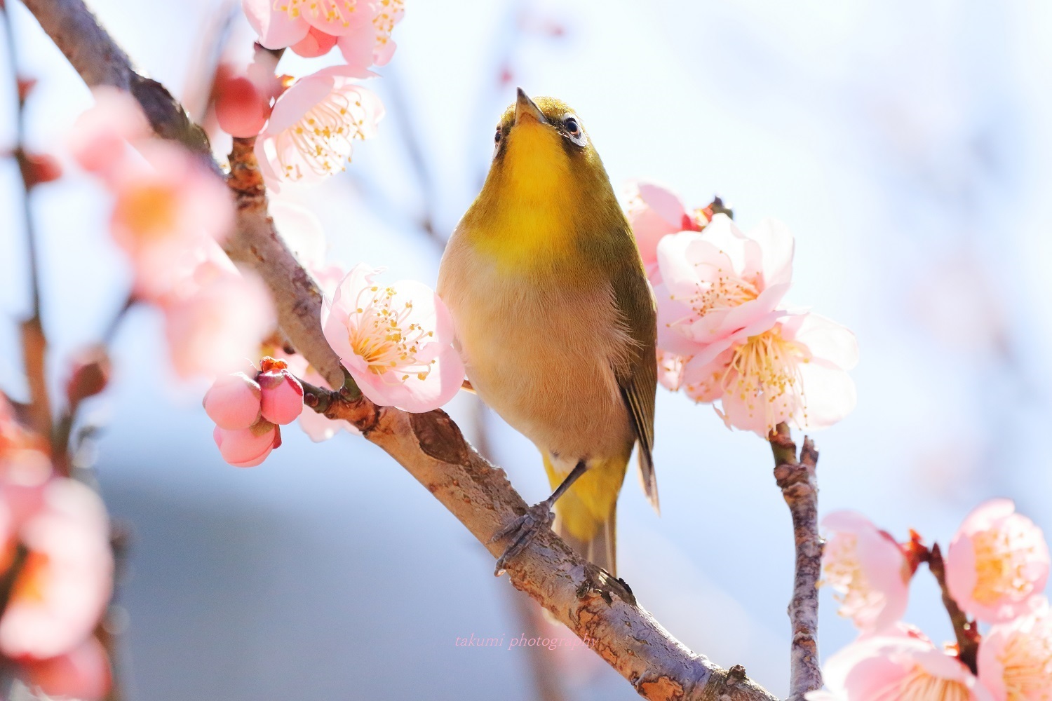 花鳥風月に遊ぶ。vol.11 : 君がいた風景