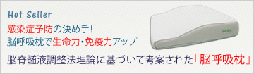 脳呼吸枕 | 脳脊髄液調整法 パーフェクトクラニオロジー協会