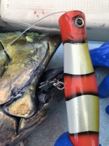 ☆【猛闘犬丸】新作／猛ポップ丸18F－MGの御紹介☆ - Perfection