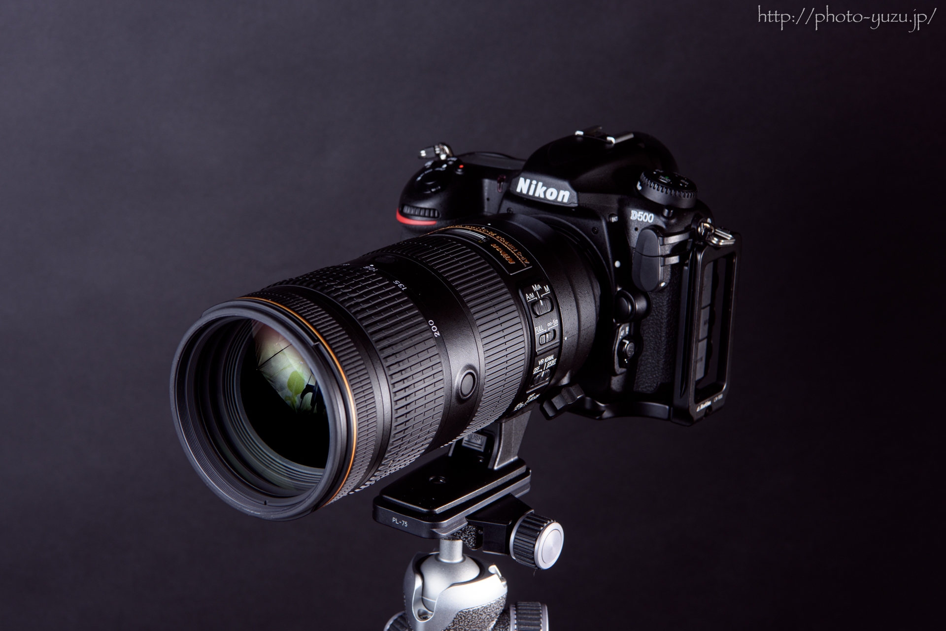 Nikon AF-S NIKKOR 70-200mm F2.8E FL ED VR 試写1（APS-C / D500編