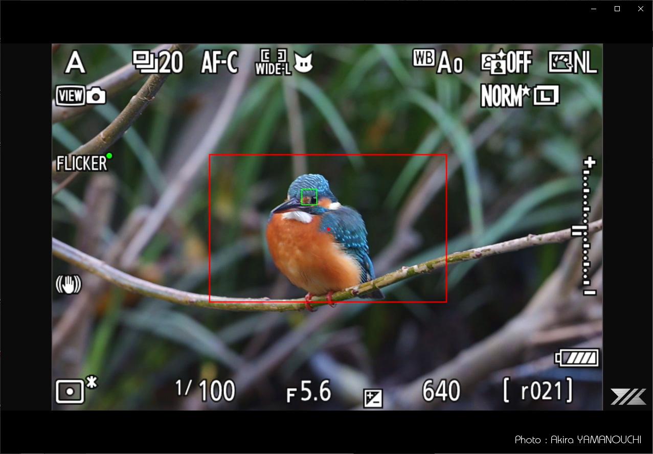 Nikon Z9：野鳥撮影（鳥検出）