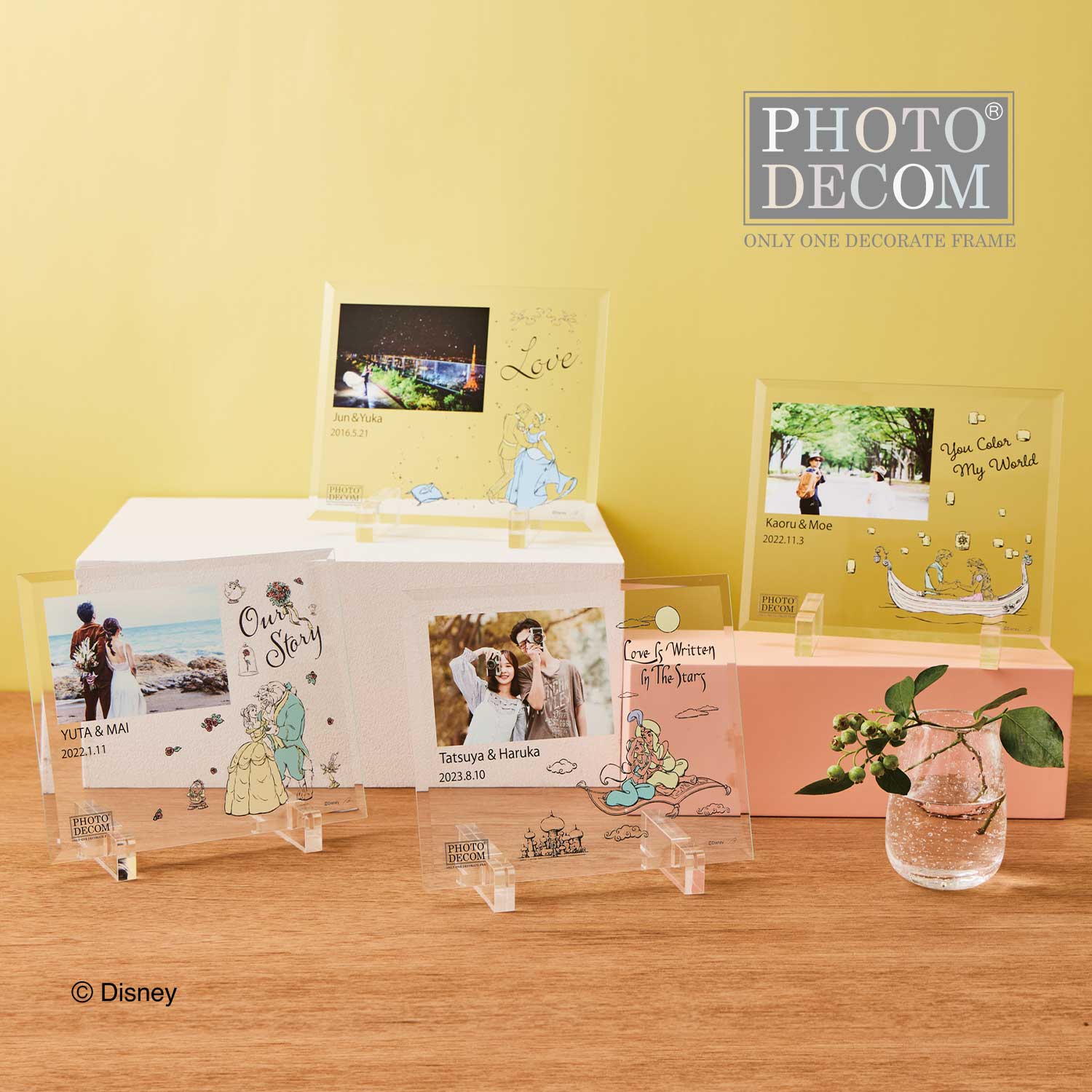 ディズニープリンセス／クリアガラスお仕立券〈カップルフォト