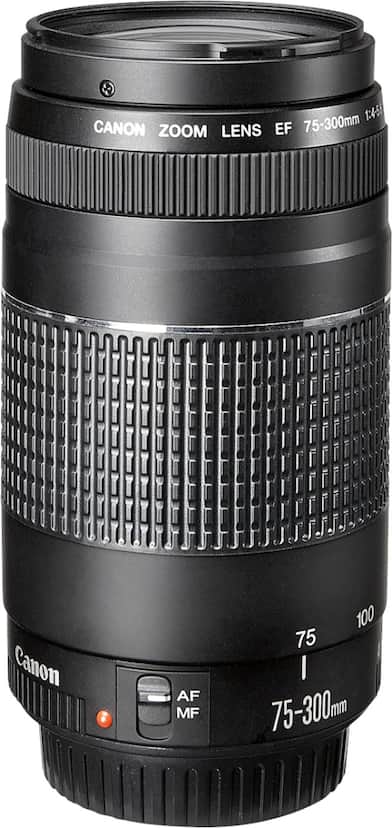 Canon EF75 300mm F4 5.6 III Telephoto Zoom Lens for EOS DSLR