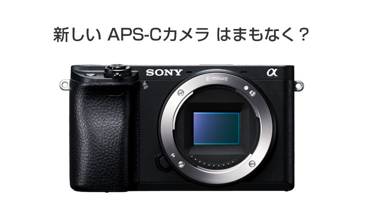 α（デジタル一眼）│電脳工房pipo!中電気店