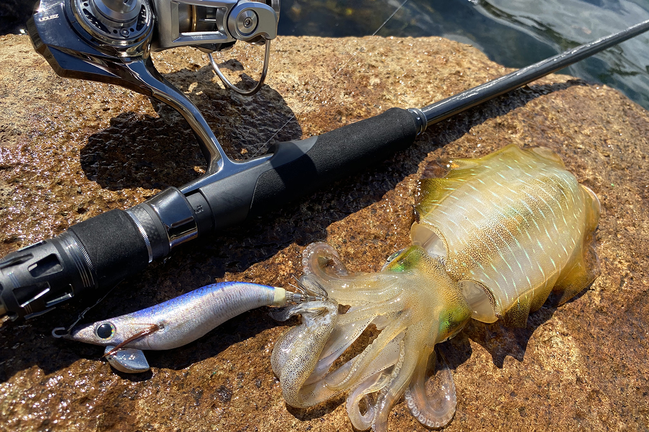 プロトタイプがエギングを新次元へと導く！ 『ソルティーステージ