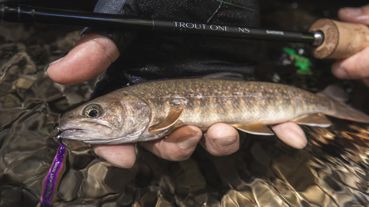 ネイティブトラウトを始めるならシマノの「トラウトワンNS」で決まり