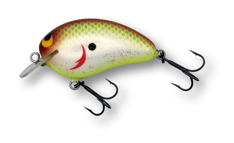 入手困難⁉】MPB LURESの実戦的クランクベイト9選＋α│ルアマガプラス