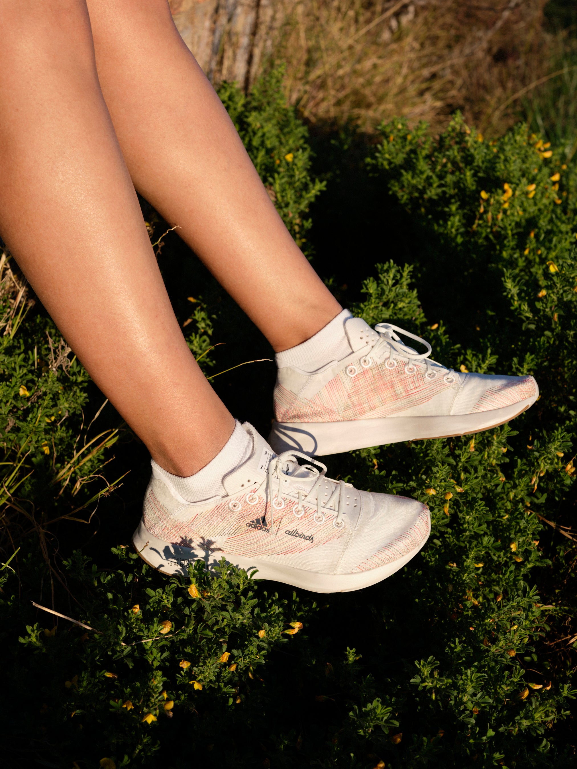 オールバーズ × アディダス 共創する、地球とランナーのために