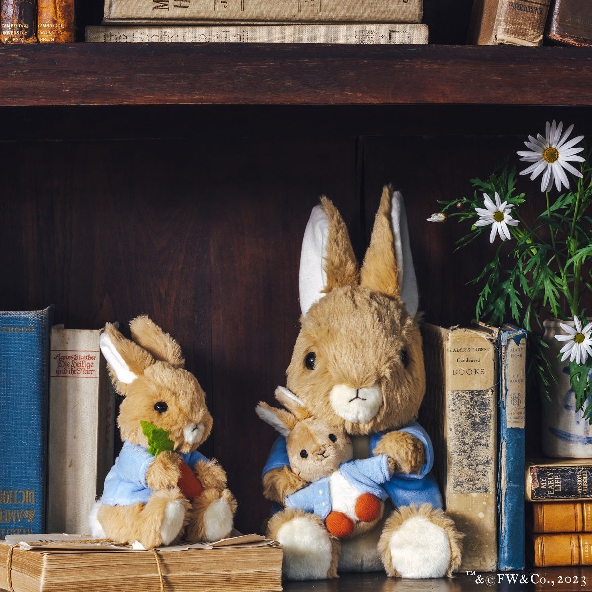 初コラボレーション】ピーターラビット™×Afternoon Teaブック型小物