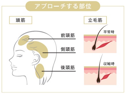 リフトケア&美髪ケアが叶う本格美容機器『ミュゼ EMSリフトブラシ