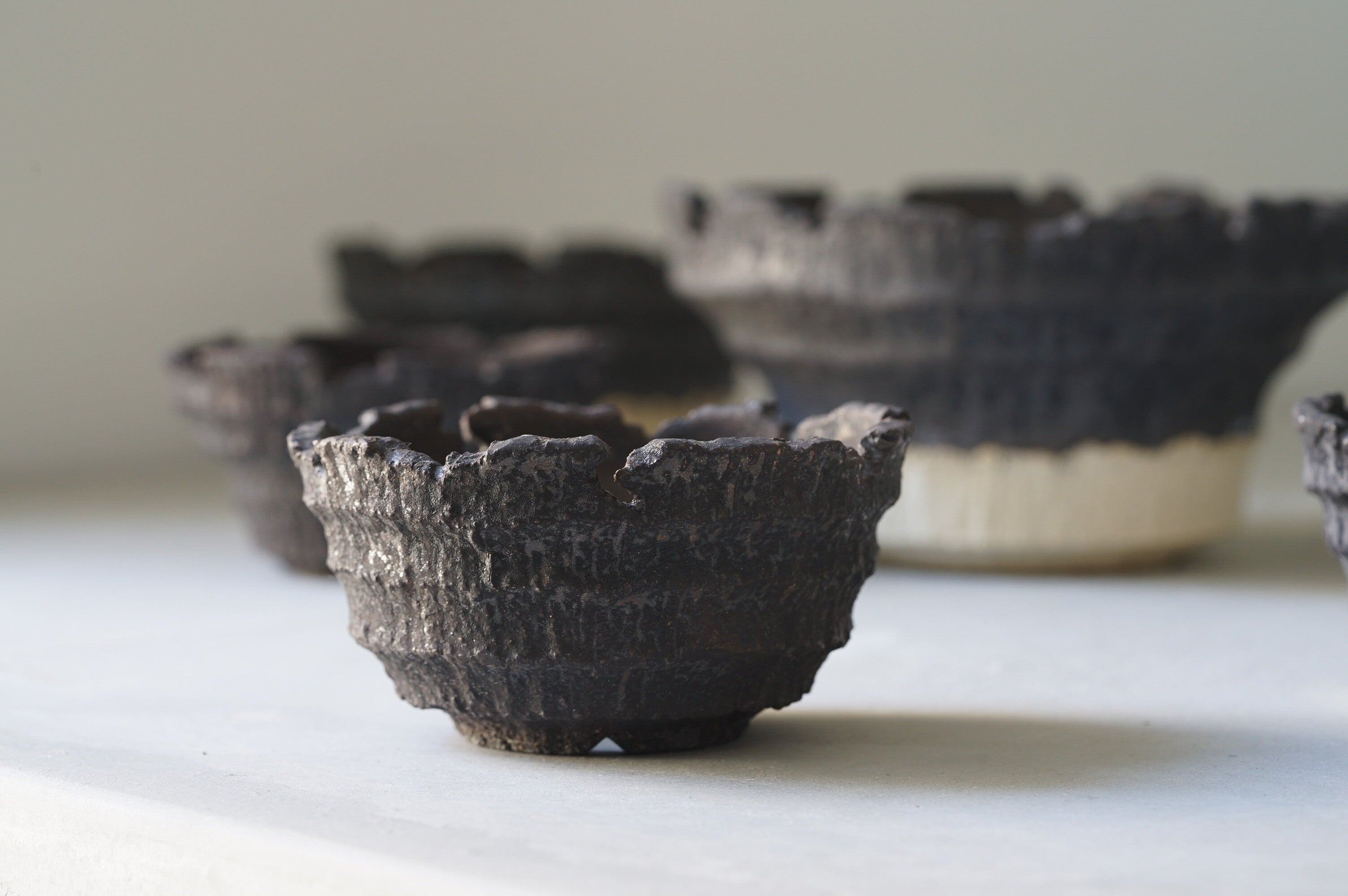 塊根植物ブランド「BOTANIZE（ボタナイズ）」、鉢ECブランド