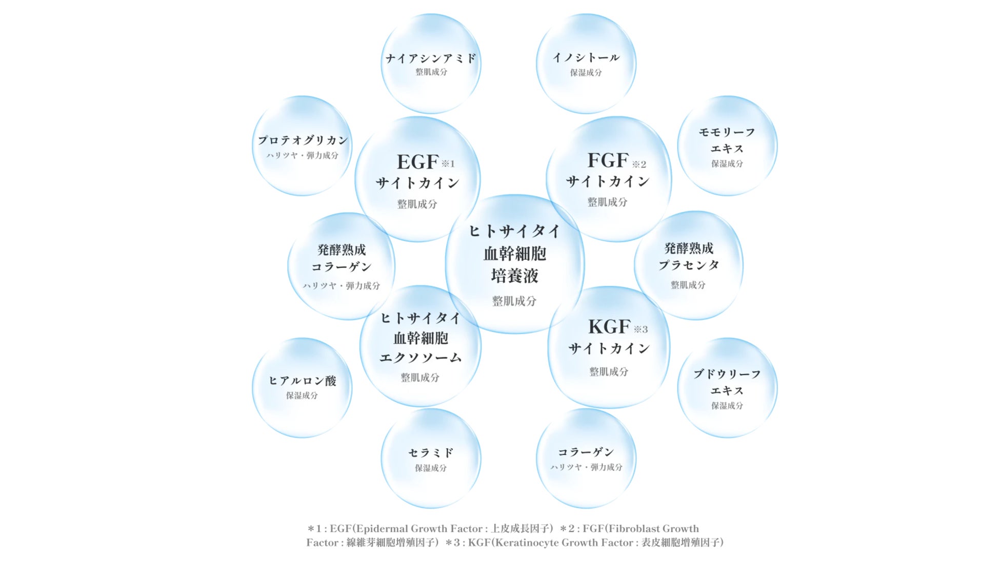 生命科学研究チームが導き出したエイジングケアの新境地】ヒトサイタイ