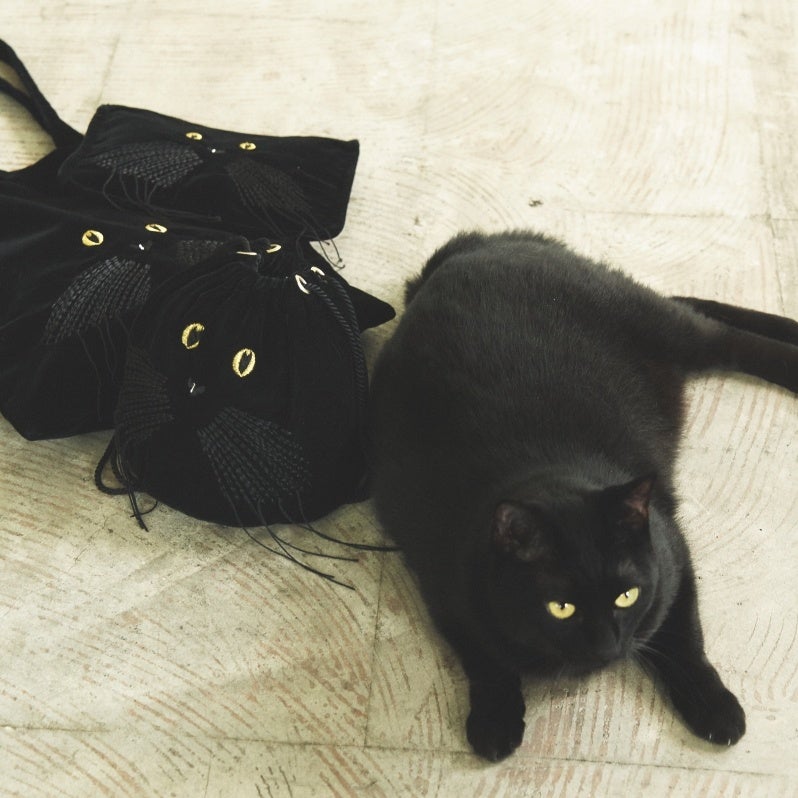 すべては、ネコと ネコを愛するヒトのために。“CAT IN DA HOUSE! ”別注