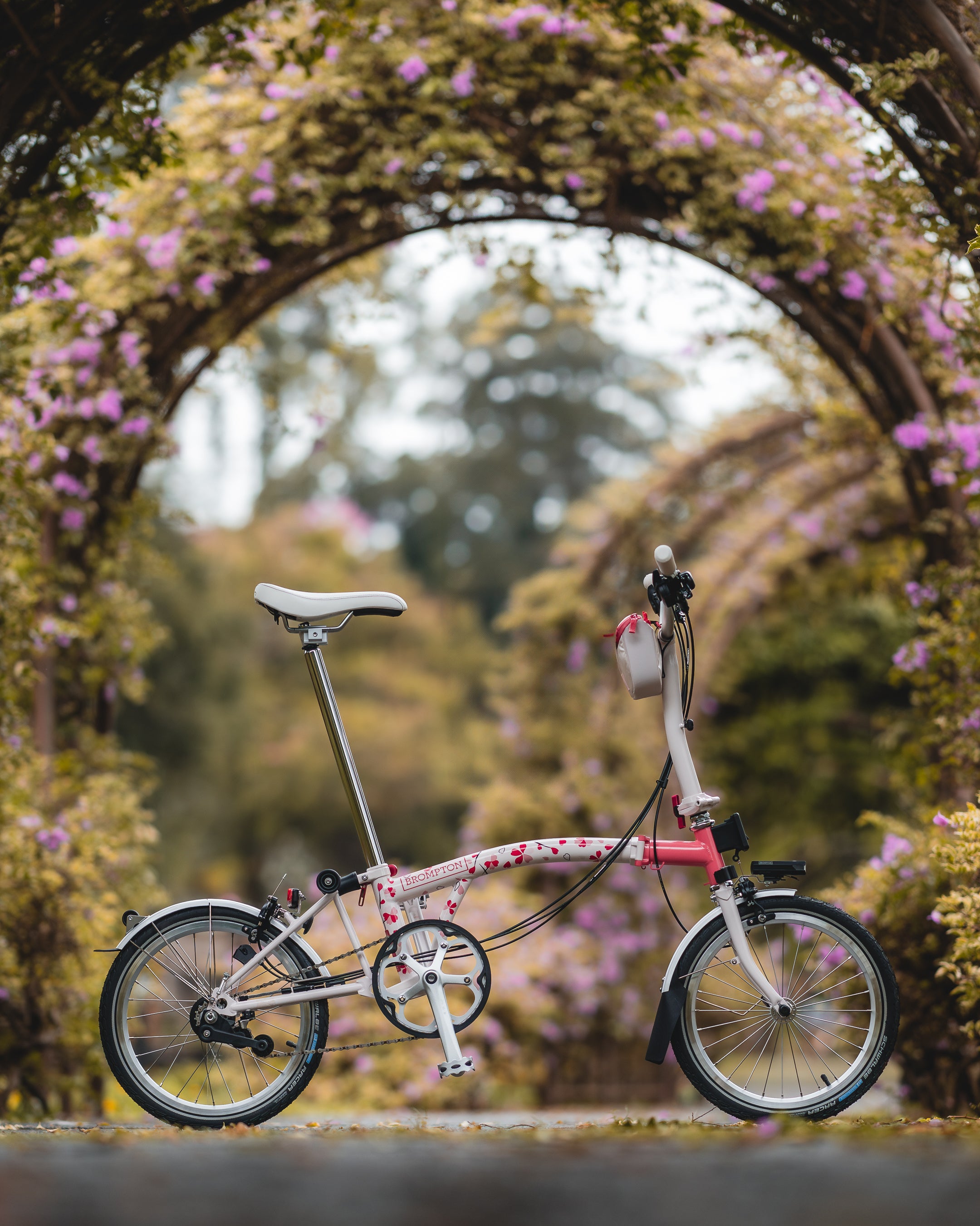 ブロンプトンが春のライドを彩るアジア限定モデル「Brompton Cherry