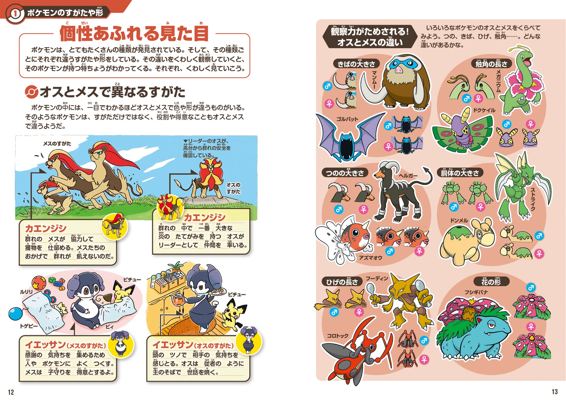 ポケモン生態図鑑(6/18発売) 本文ページ公開＆関連グッズ発売の