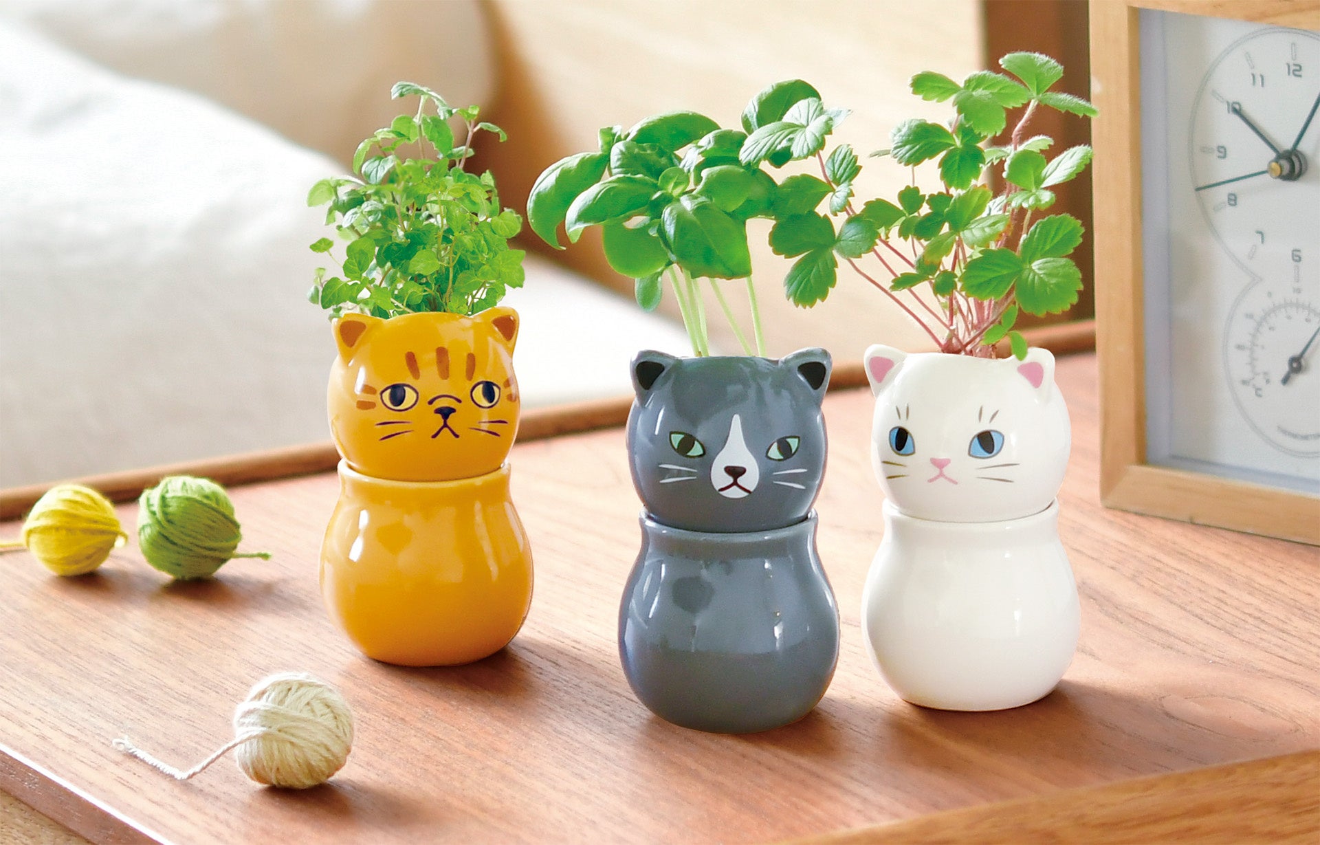 猫の日に合わせてギフトにいかが？ネコが喜ぶ植物を育てるキットから