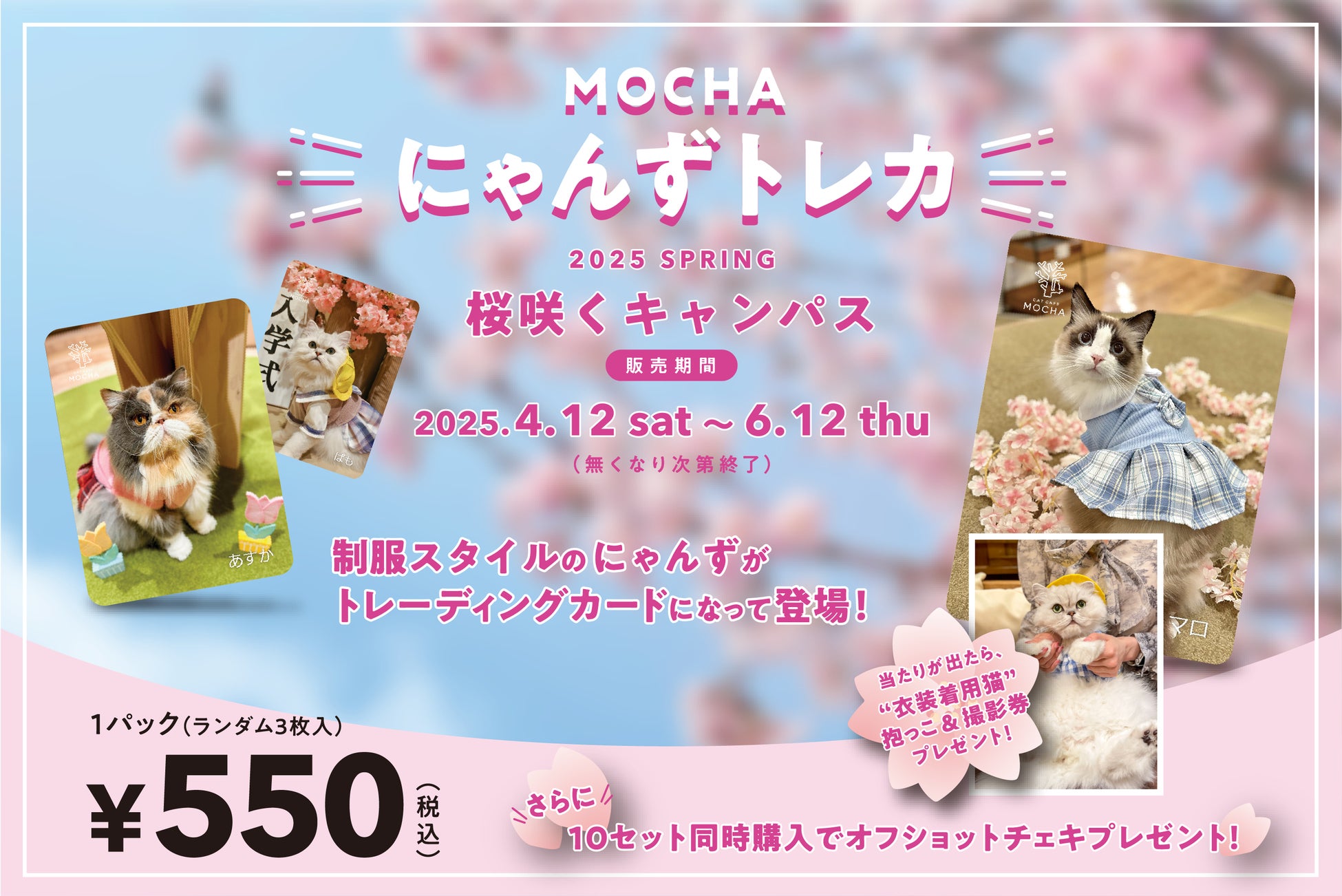 SNSで話題沸騰のMOCHAにゃんずトレカが1周年！春限定トレカ