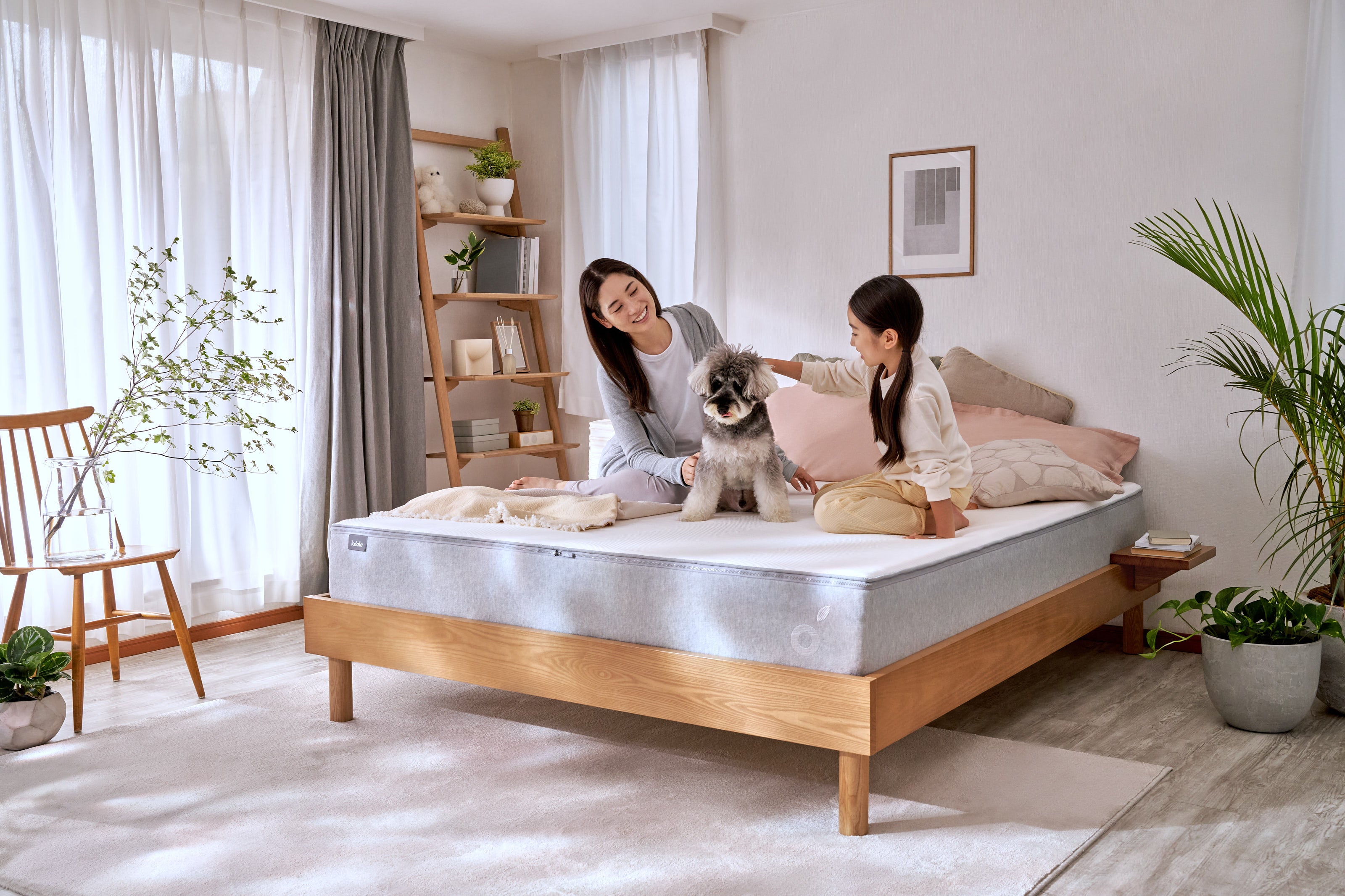 最大20％OFFになる「コアラブラックフライデーセール」2023年11月20日