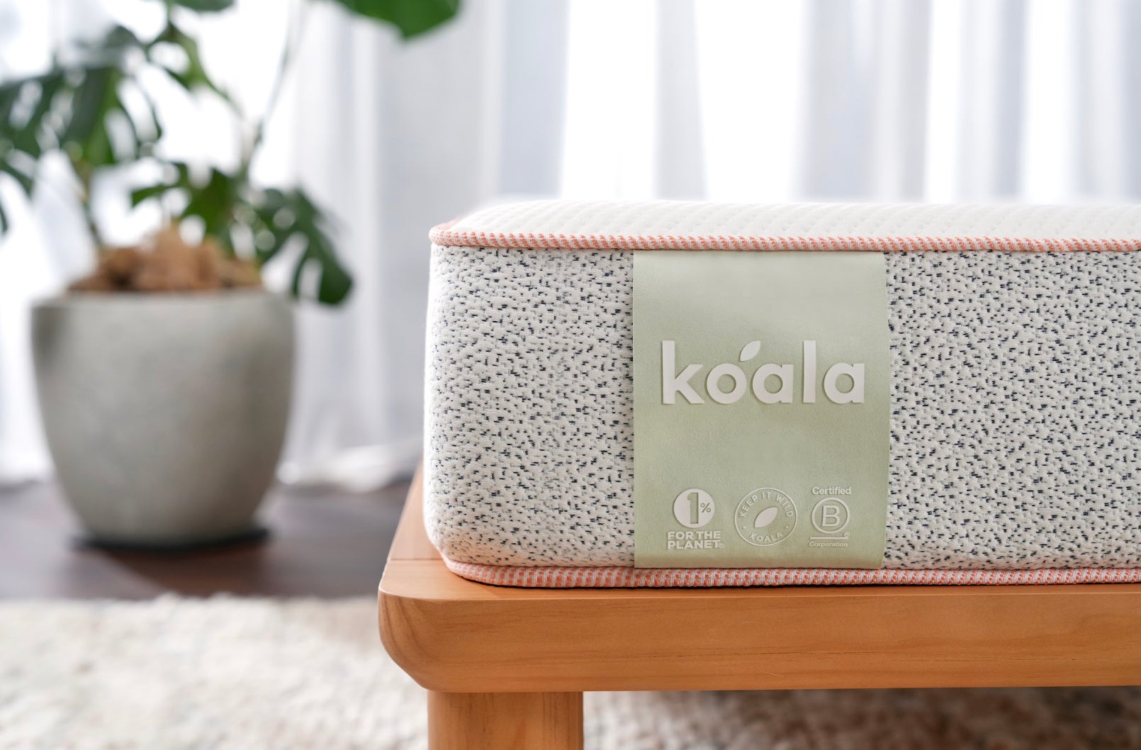 限定モデルの新作が登場 「コアラマットレス BASIC MK-4（マークフォー