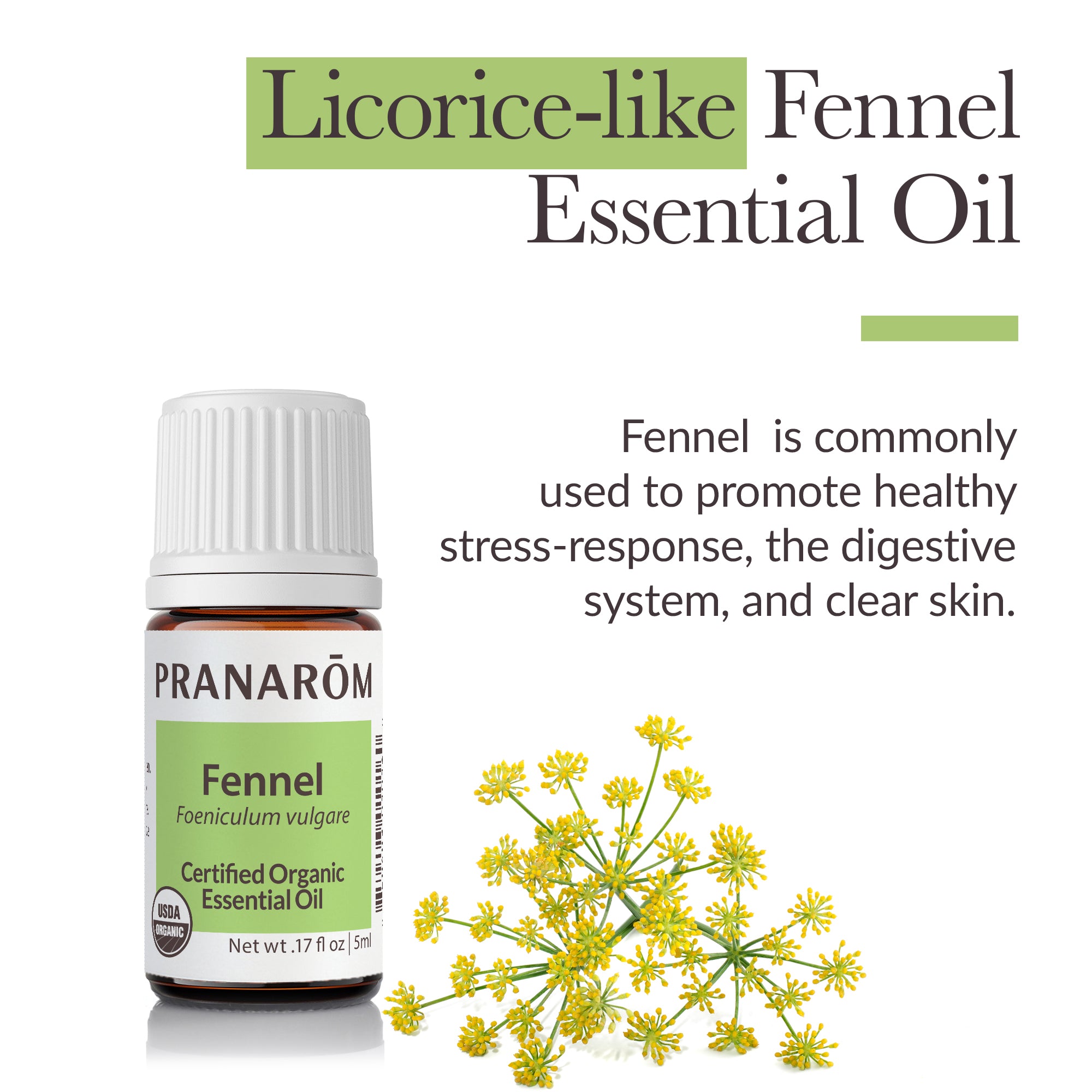 Fennel Essential Oil - Bio | Pranarôm