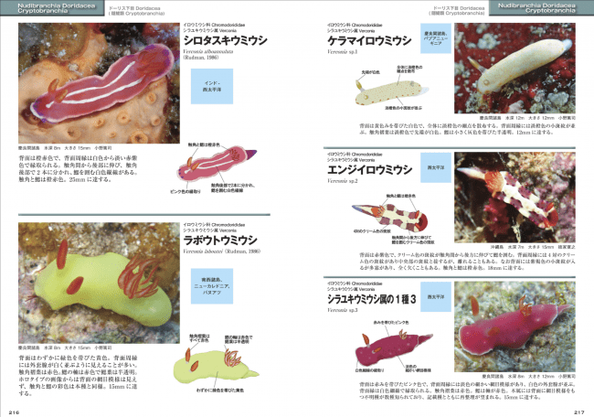 国内で見られる1260種のウミウシを収録！美しい写真と共に、同定の