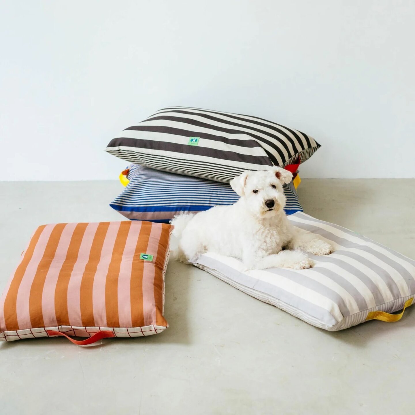 フォイヌ｜クッションベッド／ストライプ - Orné de Feuilles(オルネド