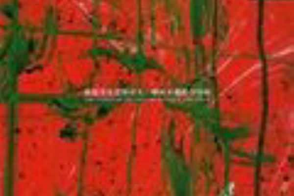 被膜する造形は人、腫れる風船に奇病 / deadman : [world end.]